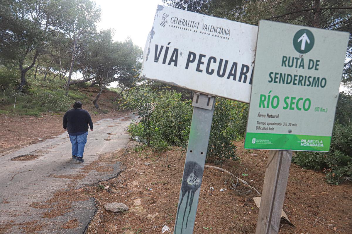 Tramo de vía pecuaria que se usa como ruta de senderismo, en Orihuela Costa