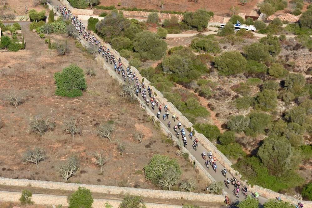 Copa Europa para másters de ciclismo