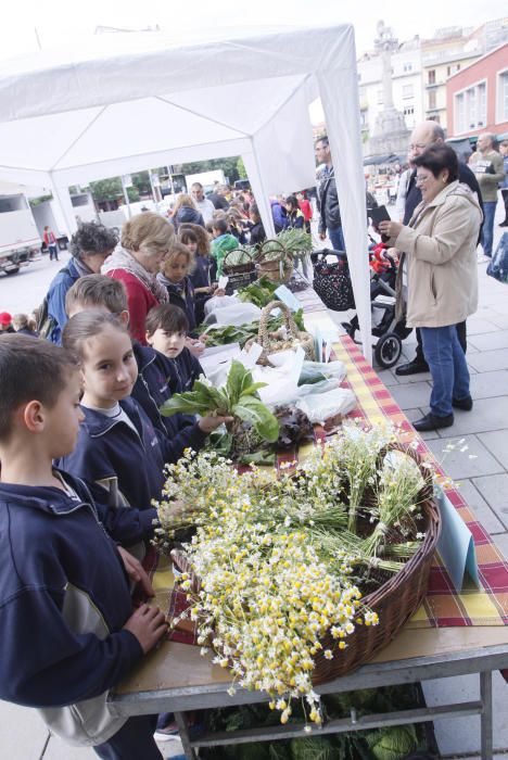 Els infants venen verdures al Mercat del Lleó