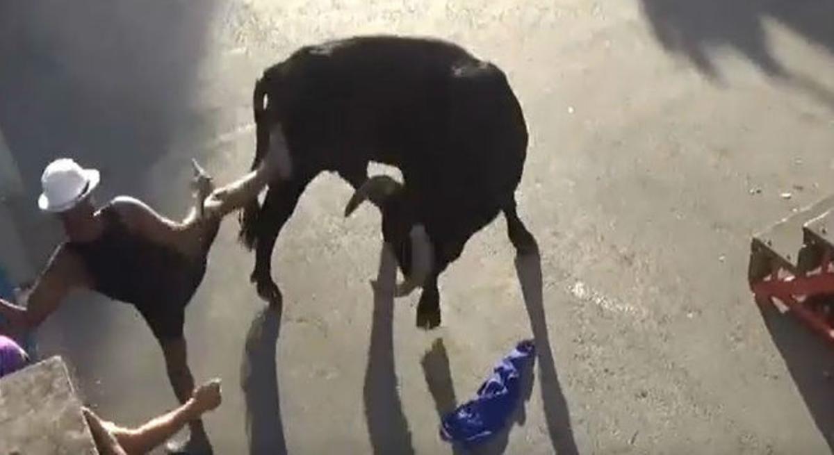 Volia fotografiar el toro, li va pegar una puntada de peu per cridar l’atenció de l’animal i el toro el va banyegar a la cuixa.