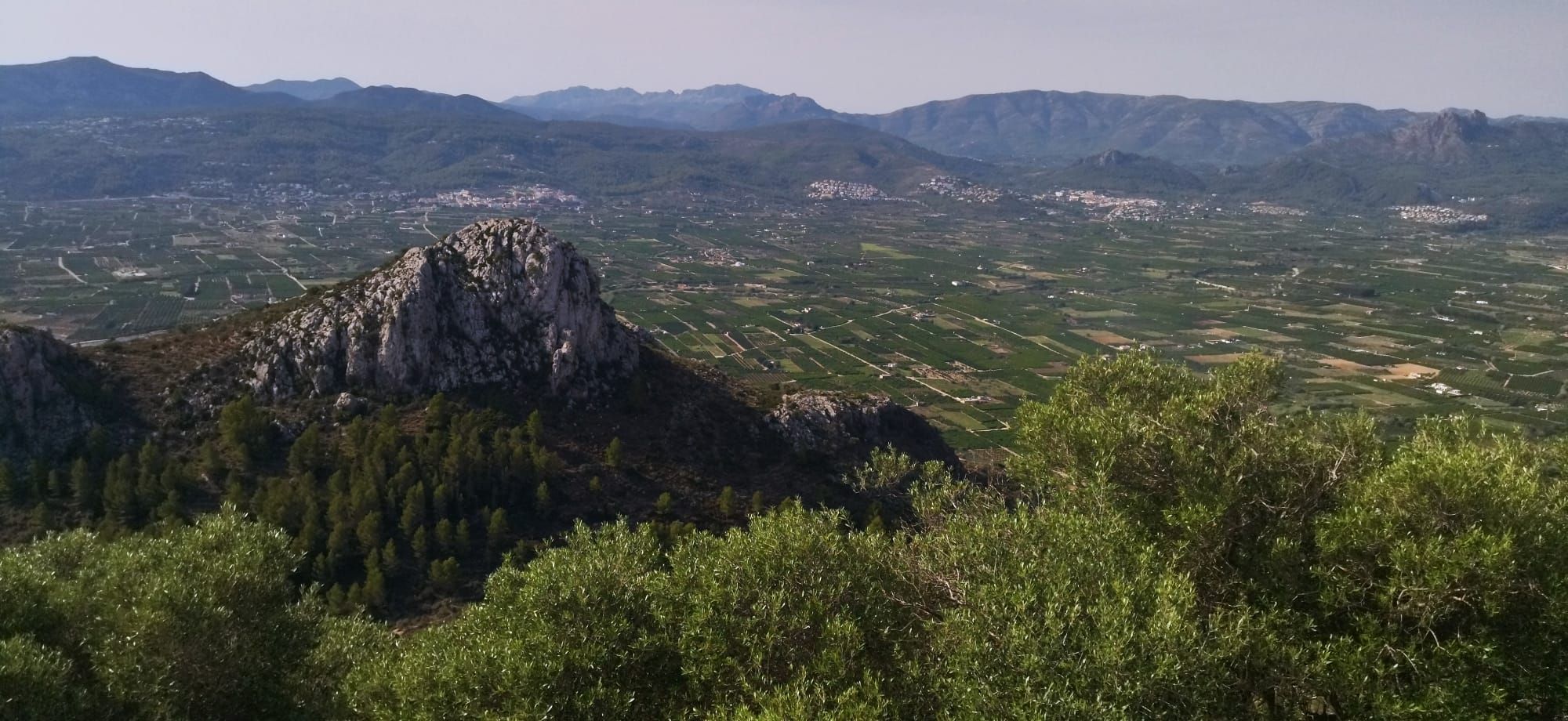Arroz al norte y naranjos al sur: el paisaje agrícola desde la cima de Segària (imágenes)