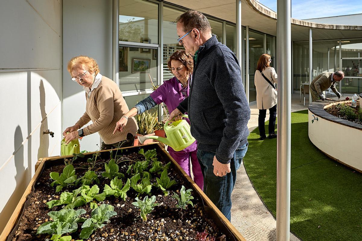 Tres usuarios de AFA la Safor-Gandia, en una imagen reciente.