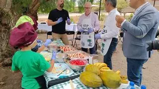 Las mejores chuches son las frutas