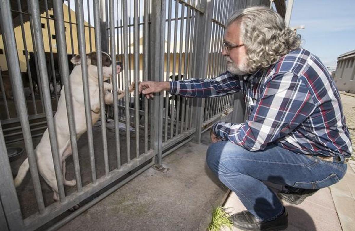03/01/2019 ARUCAS. Albergue Insular de animales. Enrique Rodríguez, presidente del Colegio de Veterinarios. FOTO: J. PÉREZ CURBELO