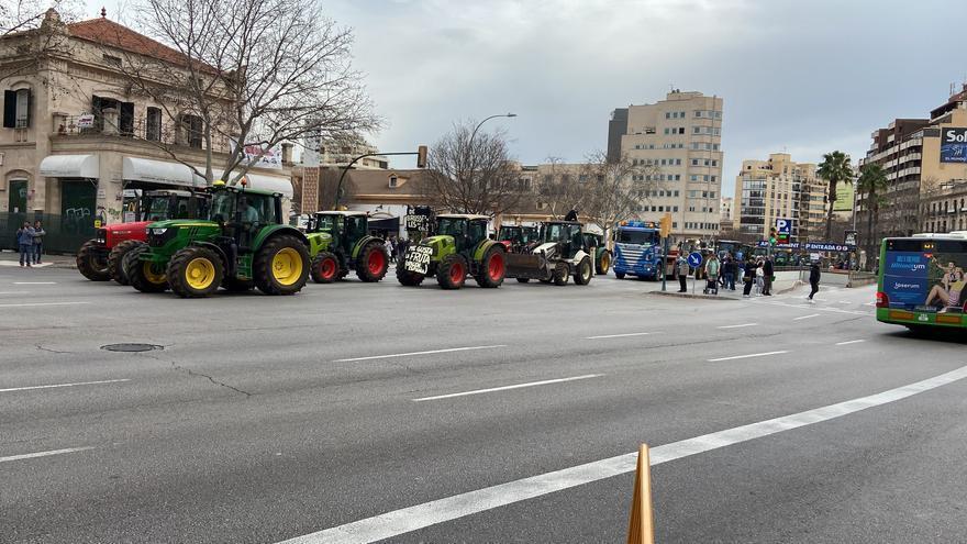 Protestierende Landwirte fahren am Montag (19.2.) durch die Innenstadt von Palma.