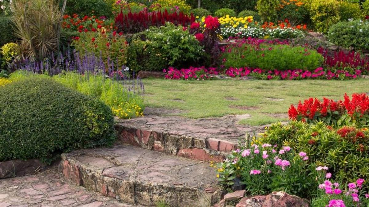 Aconsegueix un jardí d'ensomni