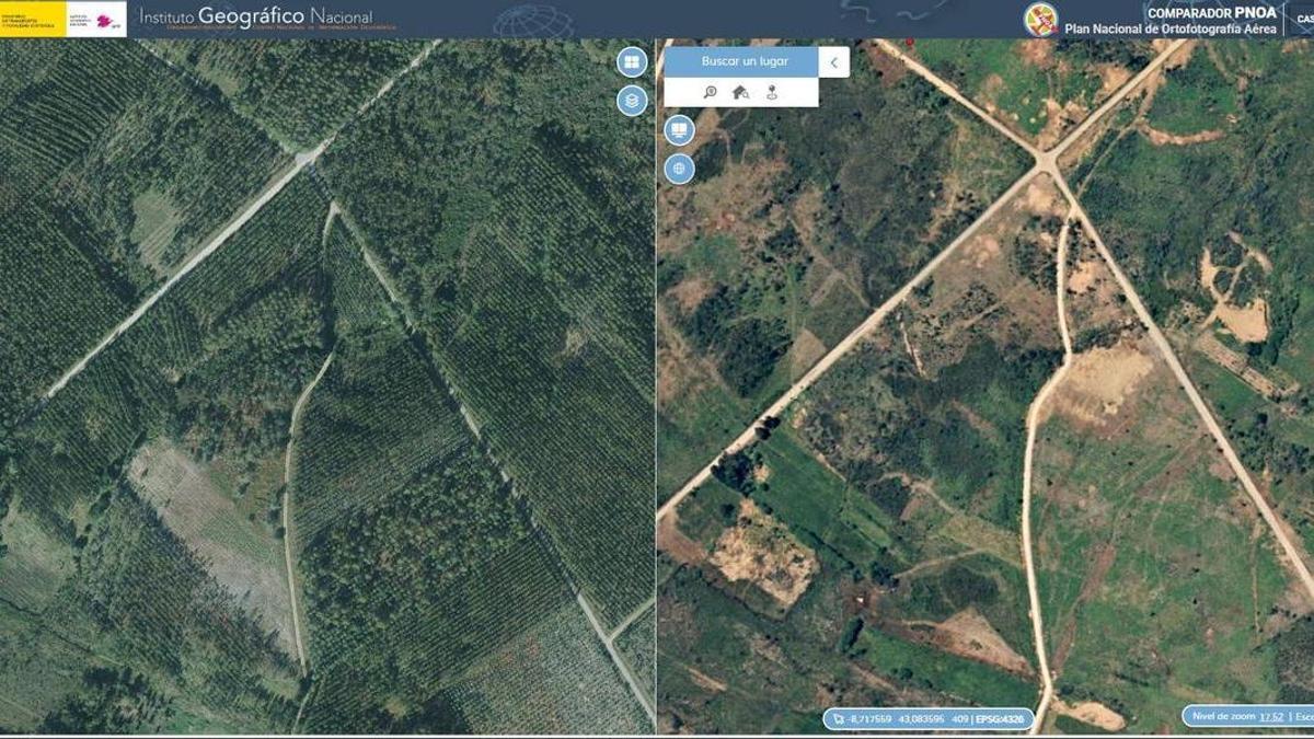 Las grandes plantaciones de árboles en las cabeceras de los ríos de Galicia agravan la sequía
