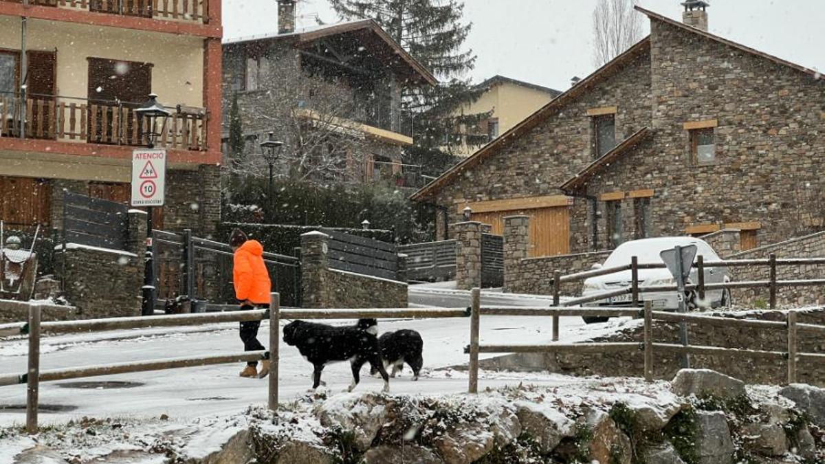 Una persona passejant els gossos per un carrer de Ger (Cerdanya) que ha quedat emblanquinat per la neu