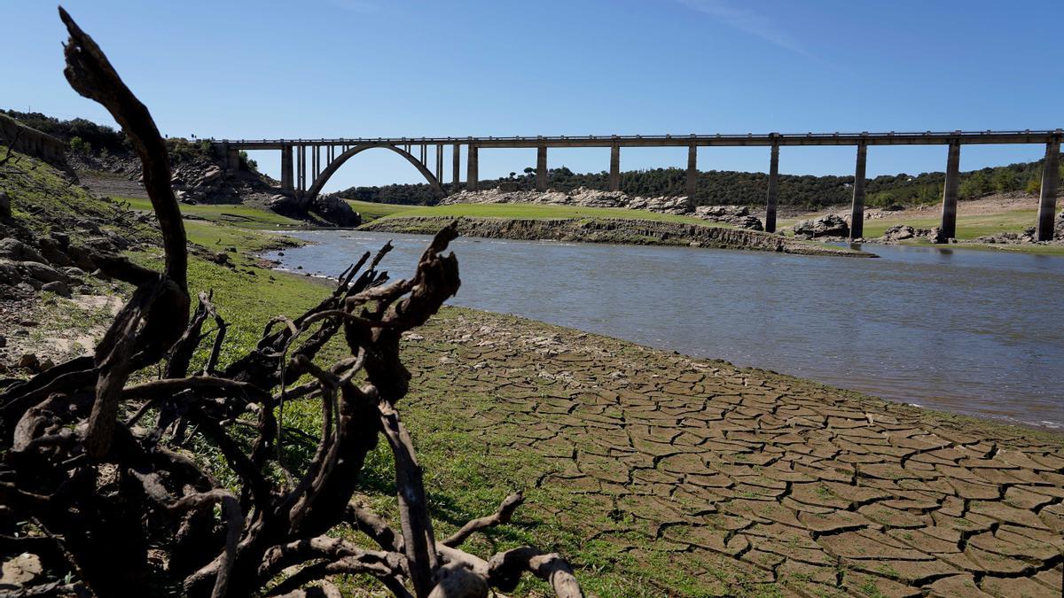 El embalse de Ricobayo bajo mínimos.