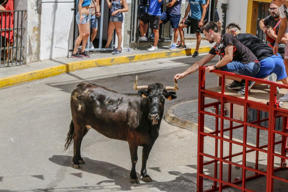 "Entrà de les Vaques" de Tibi