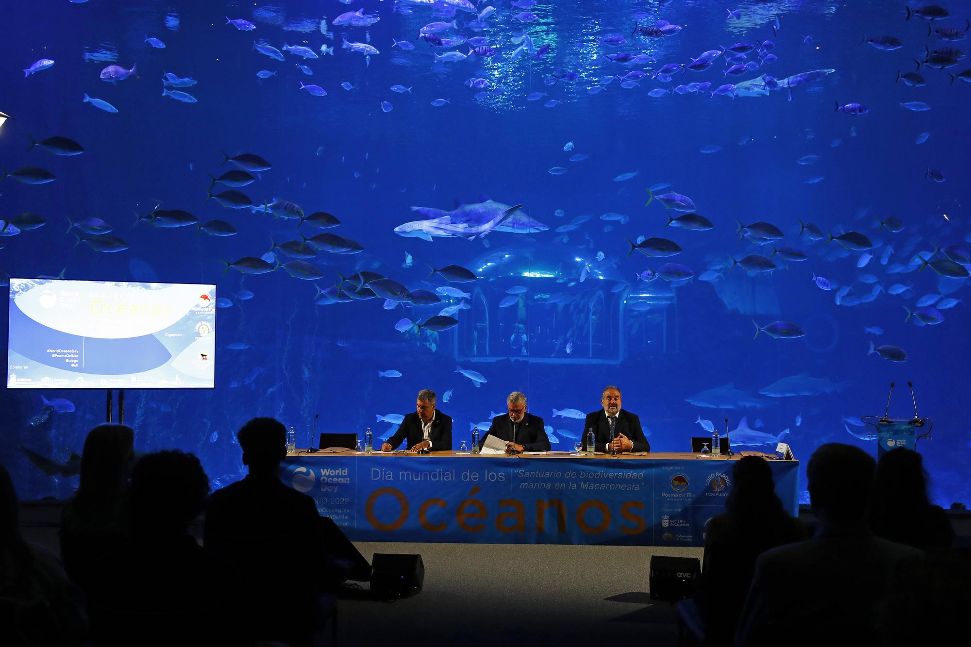 Día Mundial de los Océanos