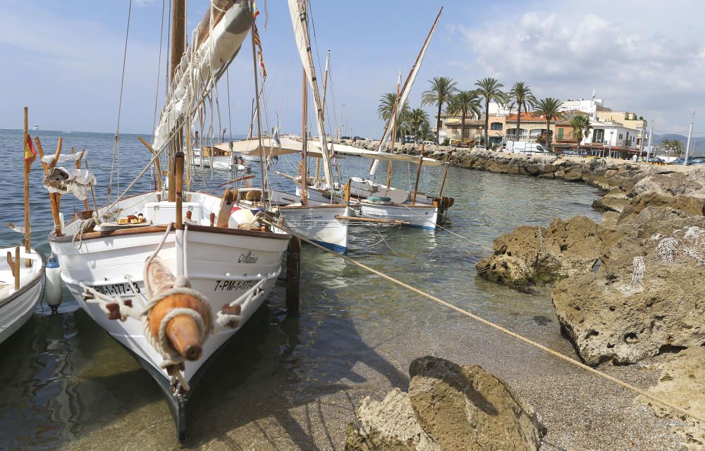 La vela latina navega por el Molinar