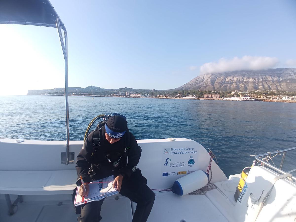 Investigadores de la UA, durante el rastreo marino de la microalga en la costa alicantina
