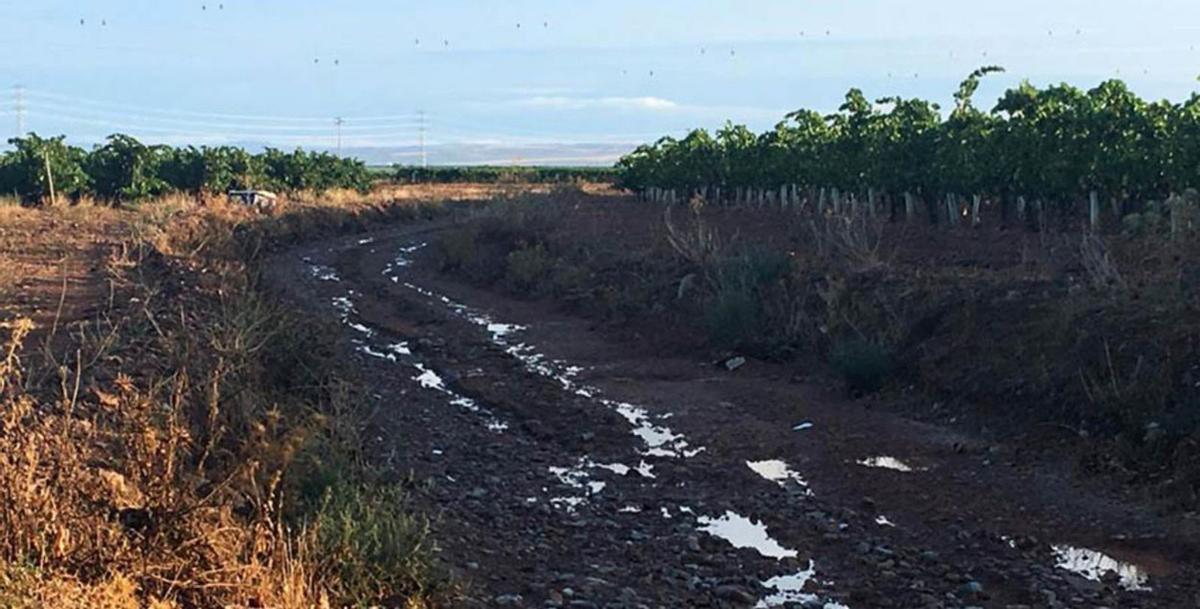 Cariñena pide colaboración ciudadana para identificar daños en vías y caminos del municipio. |  