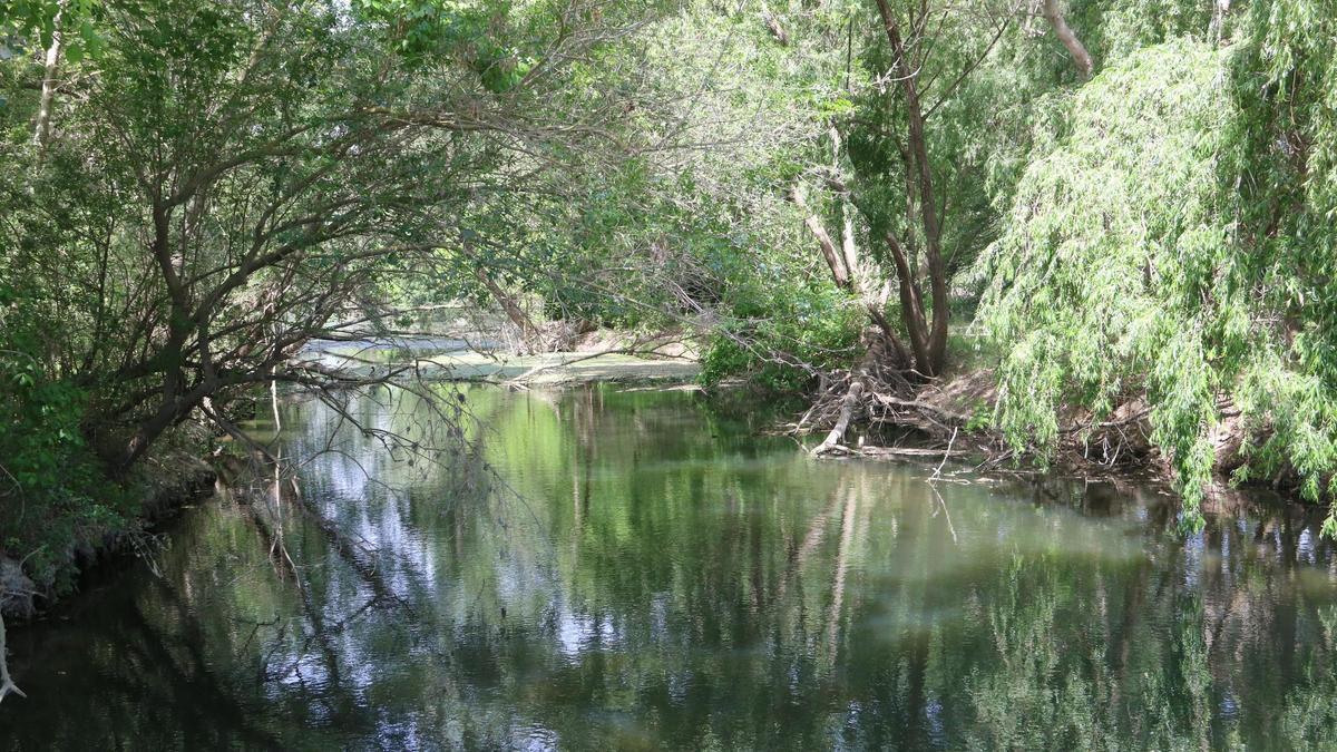La Muga amb l'aigua estancada al seu pas per Castelló, en una imatge del maig.