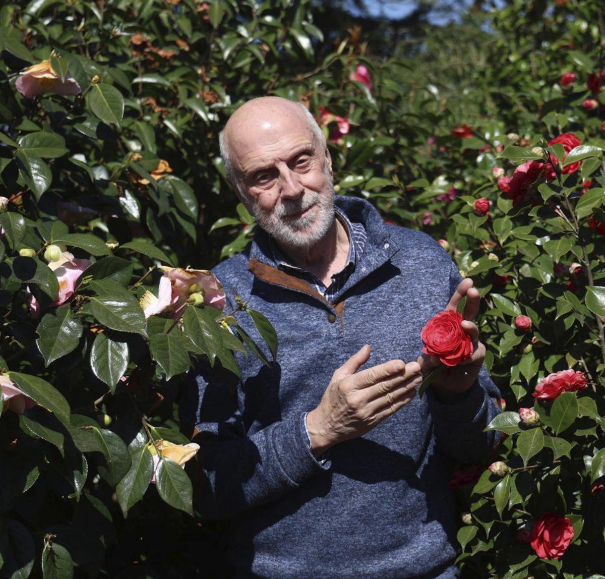 El pontevedrés muestra una de las flores de camelia que cultiva. | GUSTAVO SANTOS