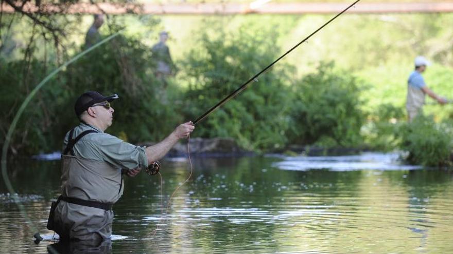 Un pescador, metido en el Ulla para intentar sacar de las aguas un salmón. |  // BERNABÉ/JAVIER LALÍN