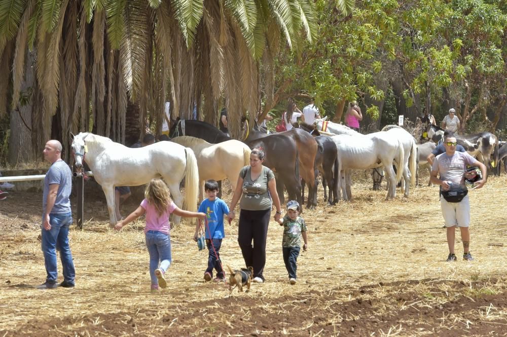 Feria de ganado