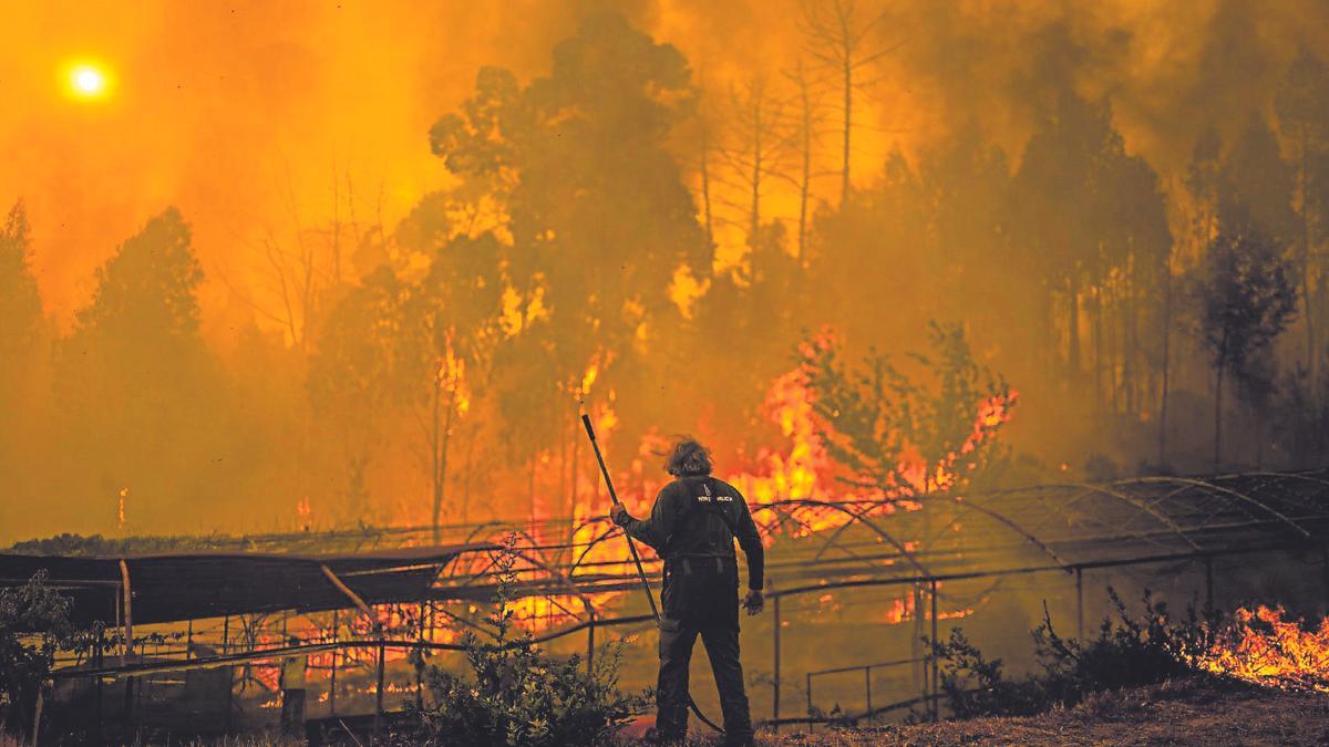 Un guarda forestal en un incendio en Carballeda de Avia en Agosto
