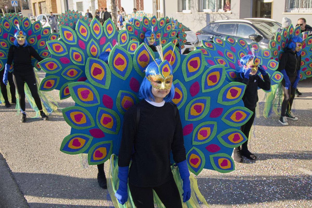 Les imatges del Carnaval d'Esquerra del Ter