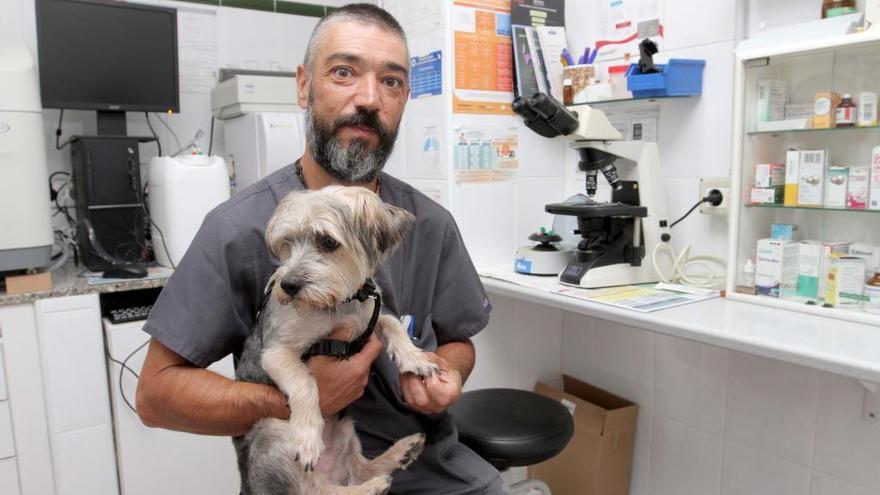 Daniel Rojo en su clínica veterinaria en Cartagena recién llegado de los Alpes.