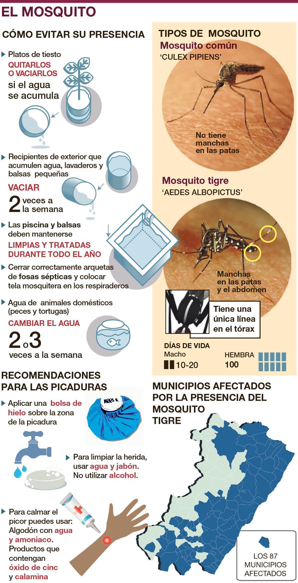 Claves sobre mosquitos.