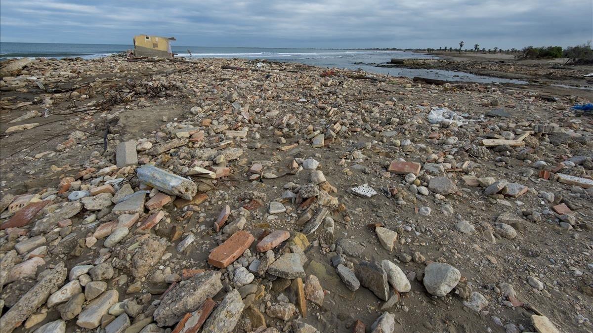 Moltes de les platges situades a la zona de la Bassa de l’Arena segueixen acumulant la brossa arrossegada per les onades provocades pel temporal Gloria