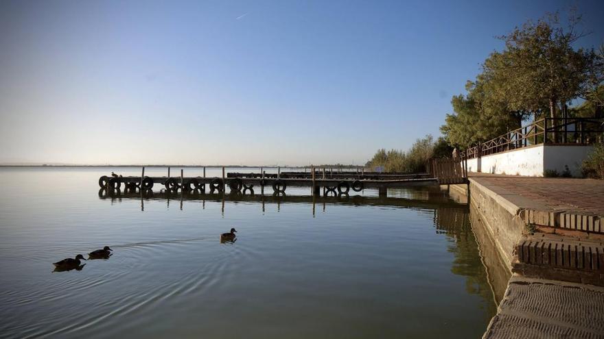 La UV alerta de la contaminación crónica por nutrientes en l'Albufera