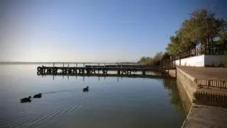 La UV alerta de la contaminación crónica por nutrientes en l'Albufera