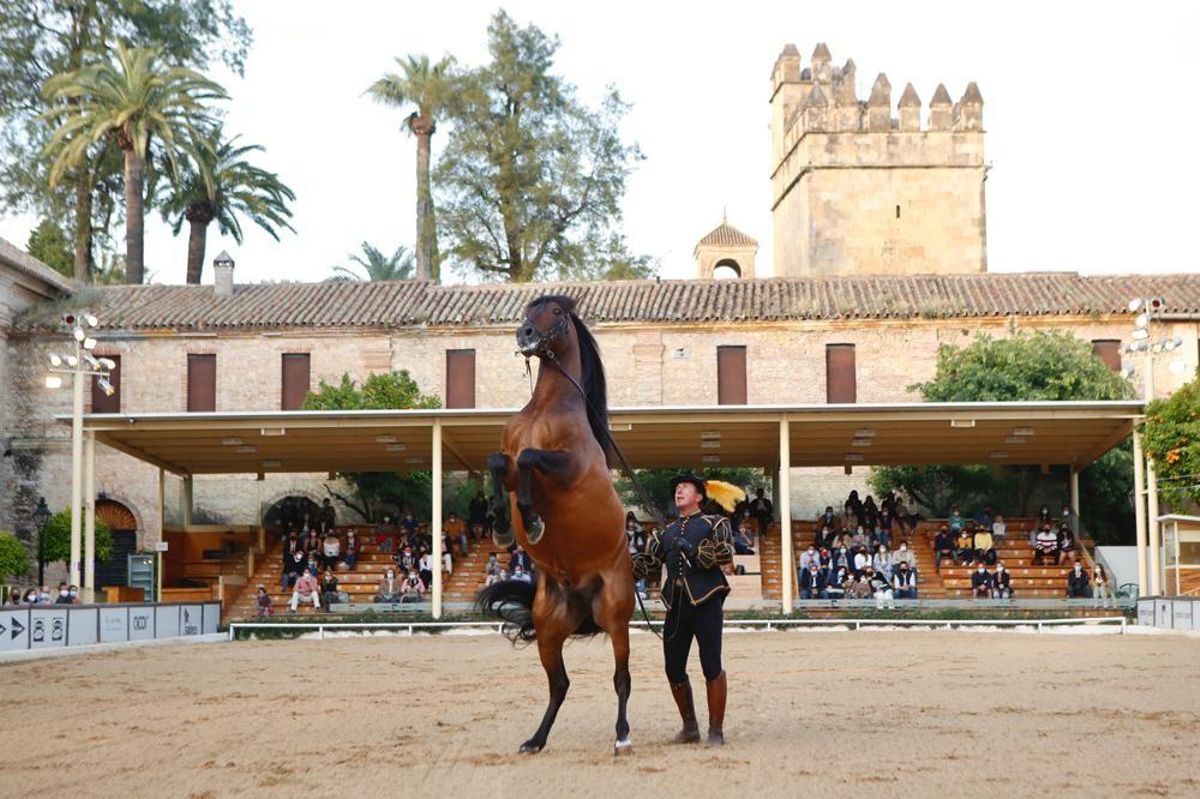 Caballo, música y baile se unen en Caballerizas reales