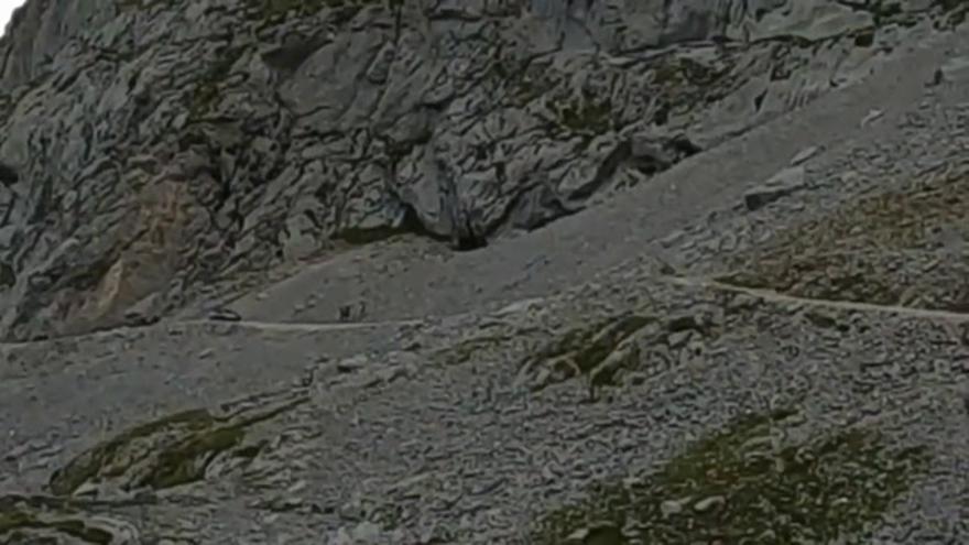 Una pareja valenciana perdida en los Picos de Europa