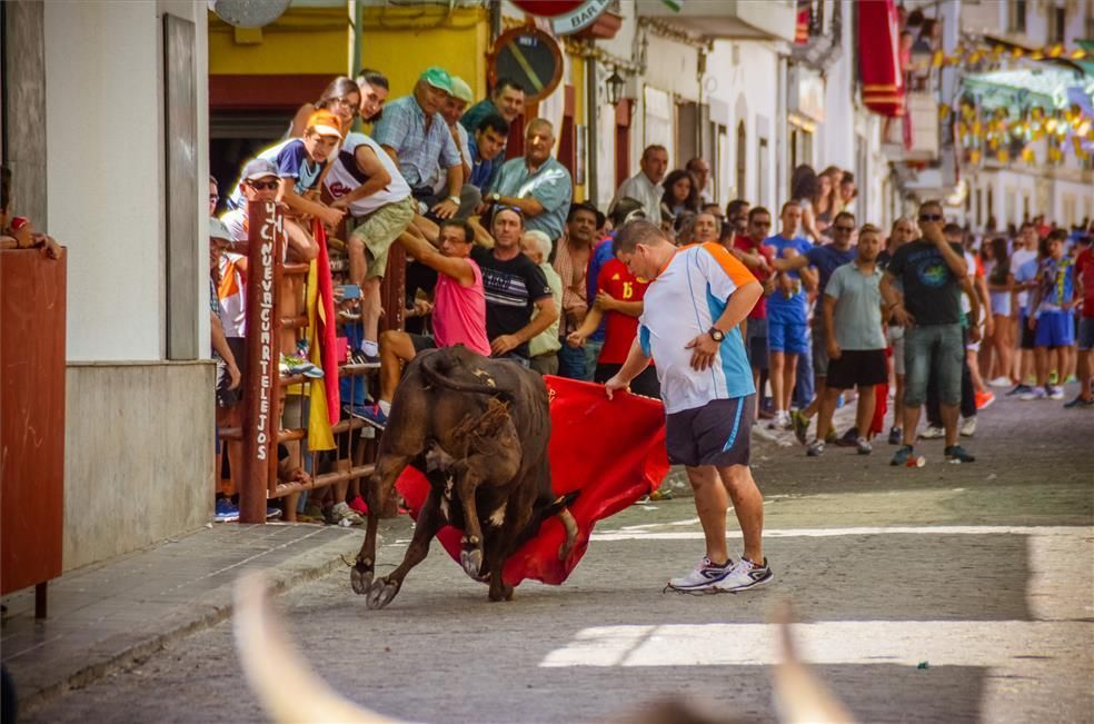 FOTOGALERÍA/ Vaquillas en El Viso