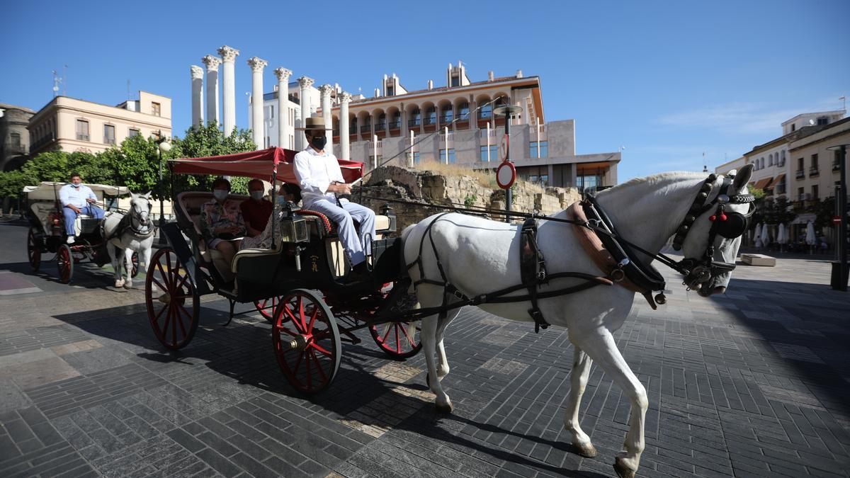 Coches de caballos junto al Templo Romano.