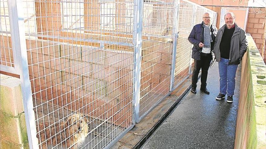 El contrato municipal para la recogida de animales incluye el sacrificio cero