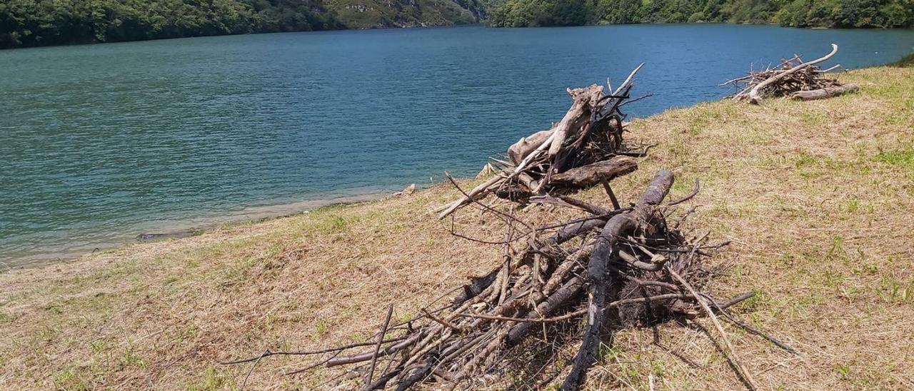 Troncos amontonados junto al embalse de Tanes para ser retirados. | E. P.