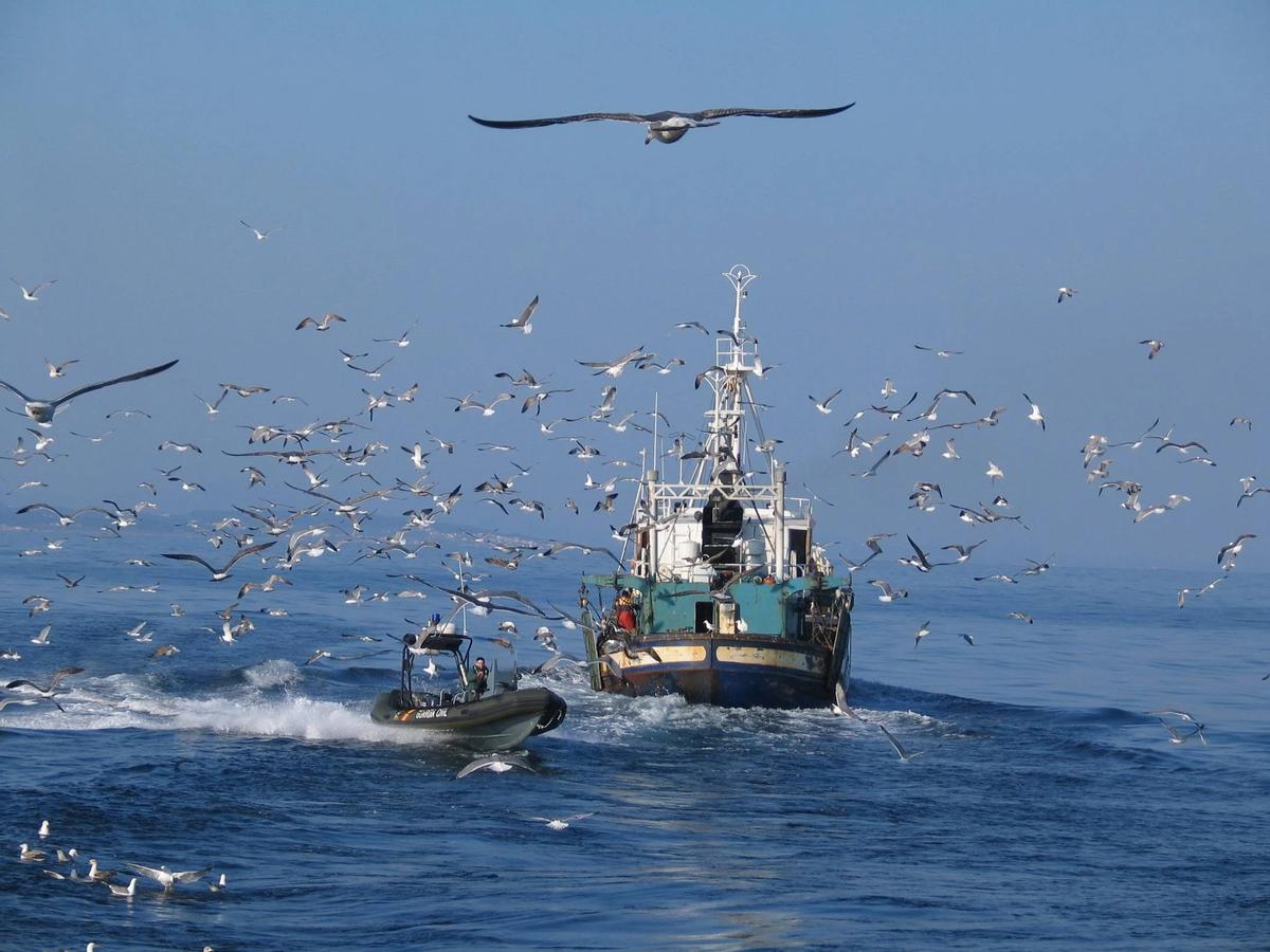 Hay AMP en las que se puede practicar la pesca de arrastre, actividad muy dañina para el fondo marino