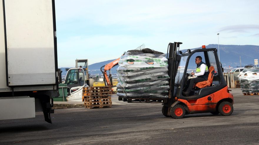 Preocupación por la pérdida de peso del marisco gallego en los mercados