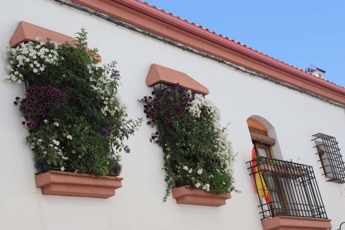 Rejas y balcones en junio