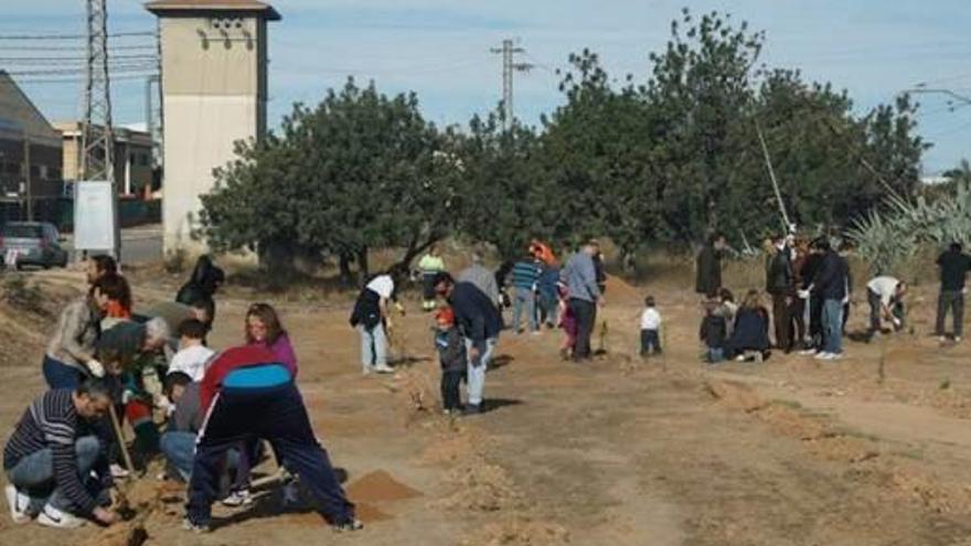 Campaña de reforestación de empresas en Fuente del Jarro.