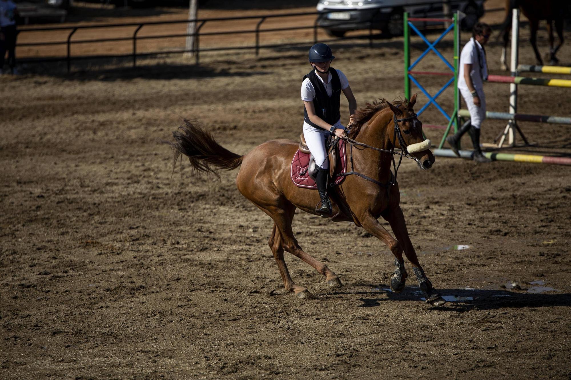 Participantes en la primera jornada del concurso nacional de saltos