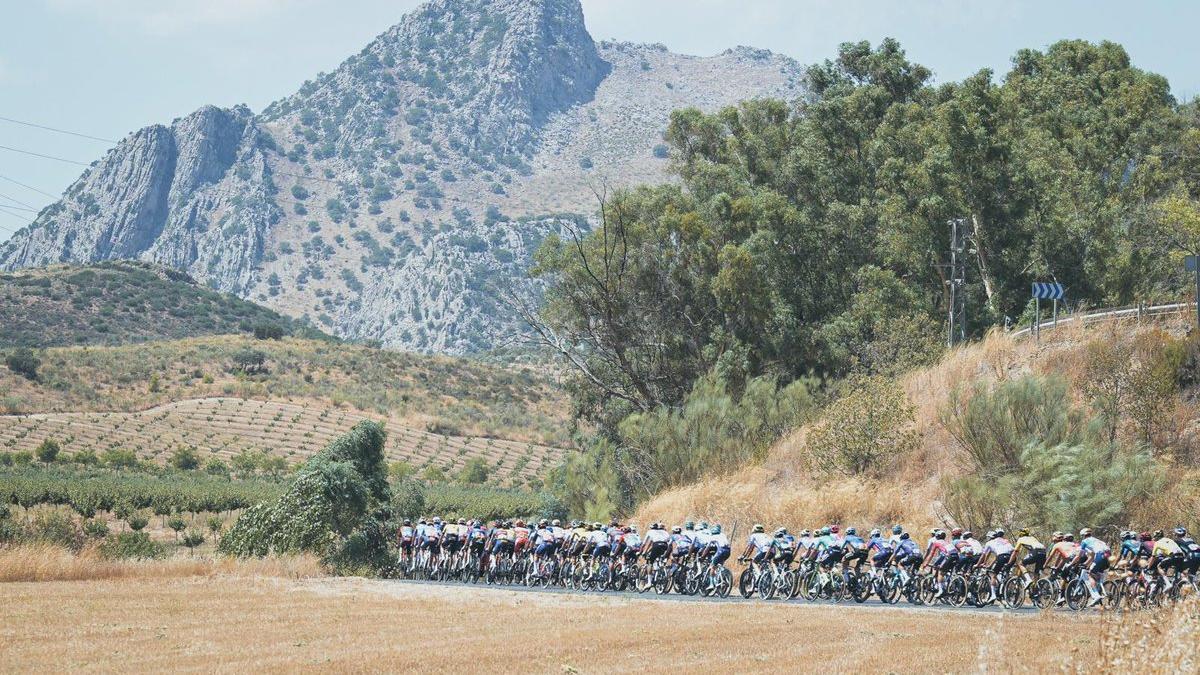 Van Aert triunfa en Córdoba en la séptima etapa de la Vuelta