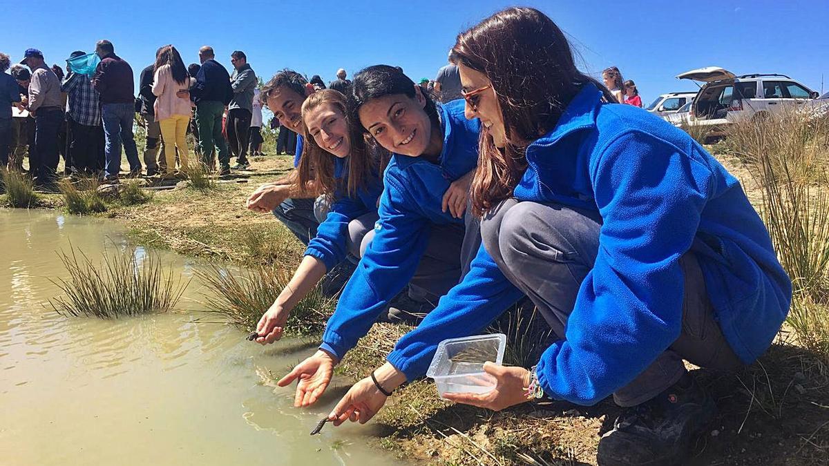 Personal de l’Oceanogràfic, en la solta d’exemplars després de la seua cria. | E.BADILLO