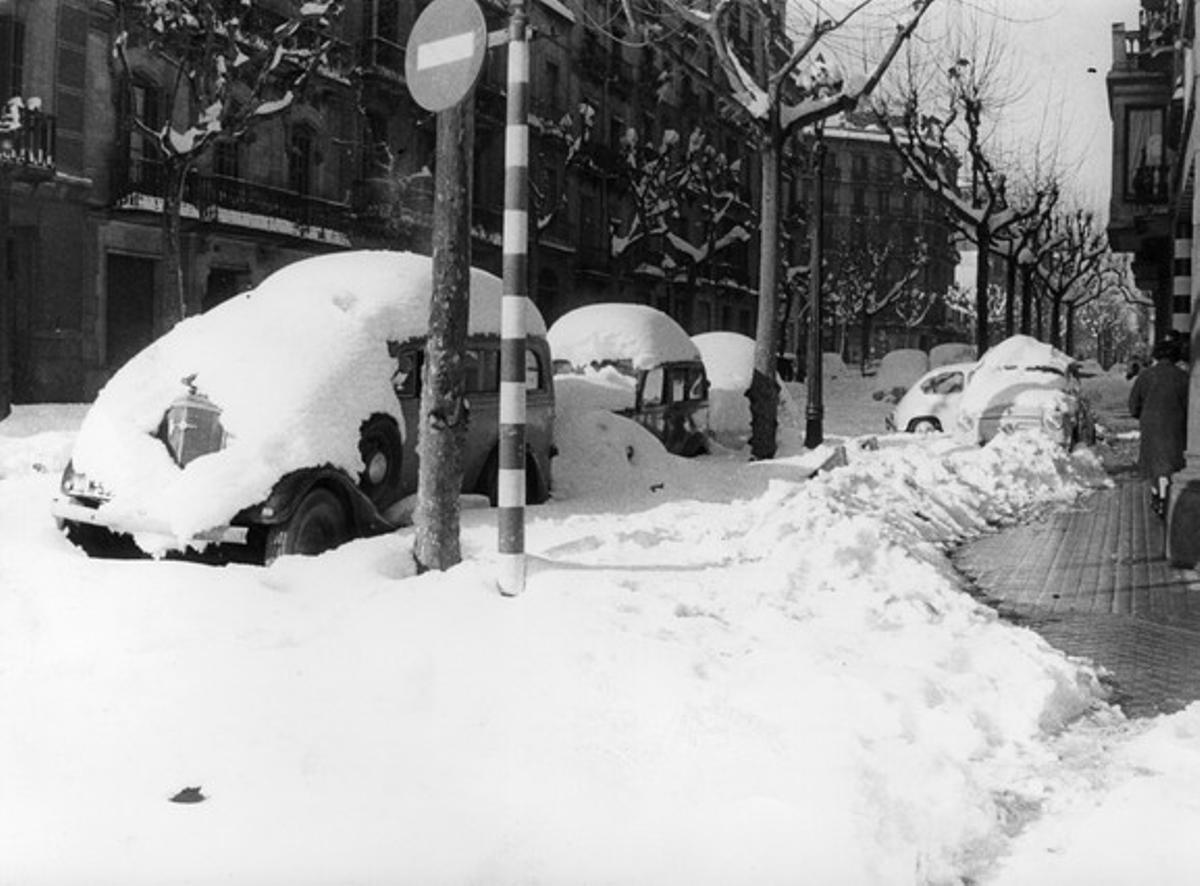 Los medios de transporte se vieron afectados por el temporal. Algunos vehículos quedaron sepultados bajo la nieve, y los tranvías y  trenes de la ciudad quedaron bloqueados durante tres días.