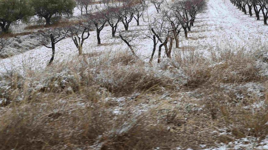 Altiplano, Noroeste y pedanías altas de Lorca se tiñen de blanco