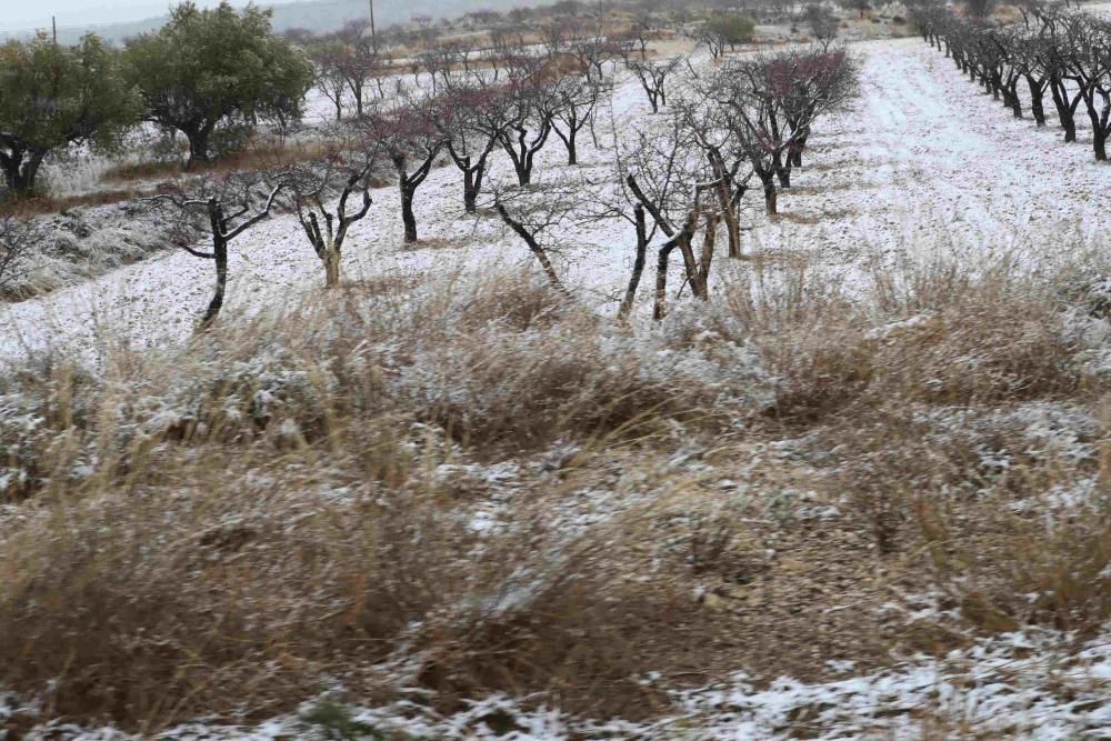 Nieve en Coy, Lorca