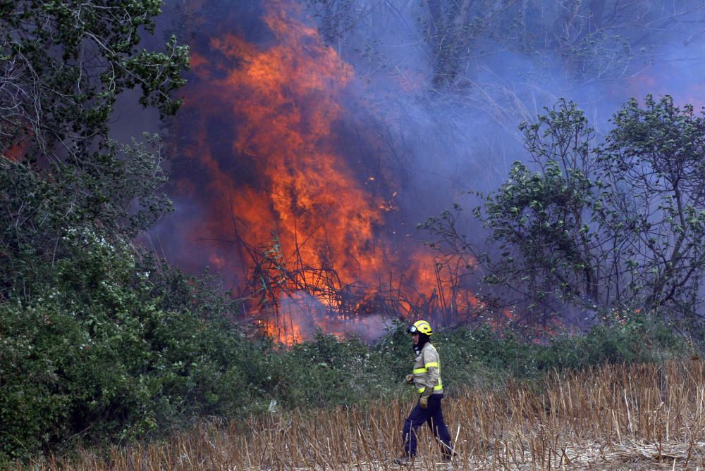 Incendi entre Cruïlles i Monells