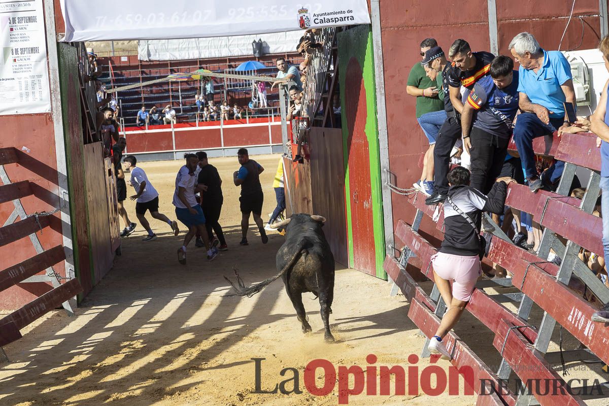 Sexo encierro de la Feria Taurina del Arroz, con la ganadería de Galache, que se ha saldado con un herido por asta de toro