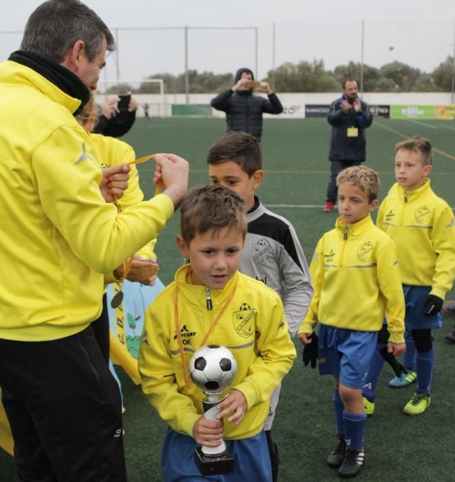 Torneo de Pascua de Cala d'Or, categoría prebenjamín.