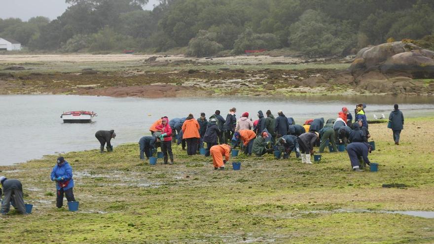 A Illa reclama protagonismo para la acuicultura y el marisqueo en el Reglamento de Costas