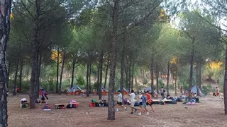 Cultura, naturaleza y aprendizaje: actividades para todas las edades este verano en Cáceres